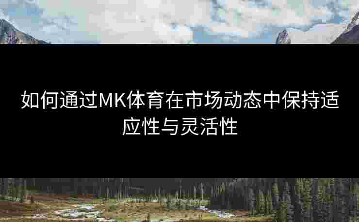 如何通过MK体育在市场动态中保持适应性与灵活性